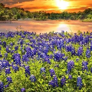 Meet your Posher, Emma l